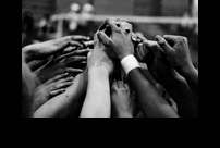 Our Team