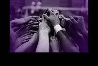 Our Team